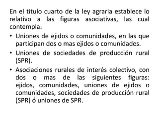 En el titulo cuarto de la ley agraria establece lo
relativo a las figuras asociativas, las cual
contempla:
• Uniones de ejidos o comunidades, en las que
participan dos o mas ejidos o comunidades.
• Uniones de sociedades de producción rural
(SPR).
• Asociaciones rurales de interés colectivo, con
dos o mas de las siguientes figuras:
ejidos, comunidades, uniones de ejidos o
comunidades, sociedades de producción rural
(SPR) ó uniones de SPR.
 