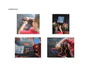 EVIDENCIAS: