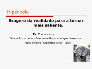 Hipérbole  Exagero da realidade para a tornar mais saliente. Ex:  Vou morrer a rir!  Se aquele mar foi criado num só dia, eu era capaz de o escoar numa só hora.” (Agustina Bessa - Luís)   
