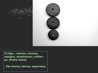 O trigo... nasceu, cresceu,
espigou, amadureceu, colheu-
se. (Padre Vieira)

- Ele chorou, berrou, esperneou.
 