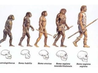 Figuras de linguagem - Gradação[Editável]