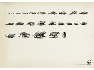 Figuras de linguagem - Gradação[Editável]