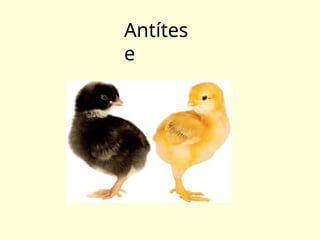 Antítes
e
 