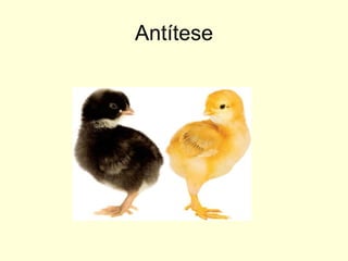 Antítese

 