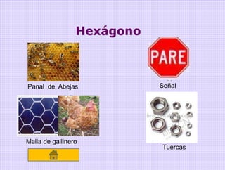 Hexágono



Panal de Abejas             Señal




Malla de gallinero
                            Tuercas
 
