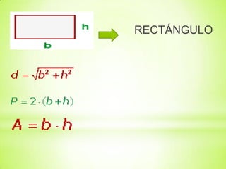 RECTÁNGULO

 