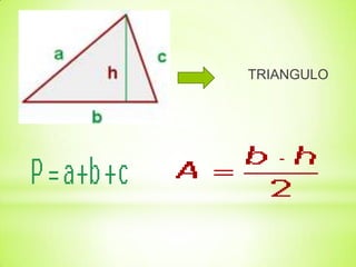 TRIANGULO

 