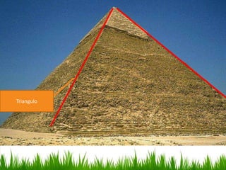 Triangulo

 