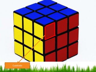 Cuadrado

 