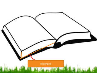 Rectangulo

 