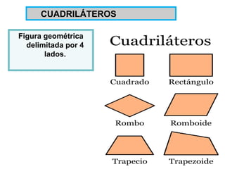 Figura geométrica
delimitada por 4
lados.
CUADRILÁTEROS