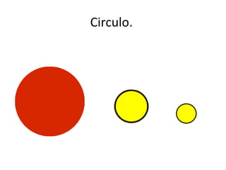 Circulo.
 