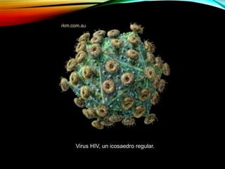 Virus HIV, un icosaedro regular.
 