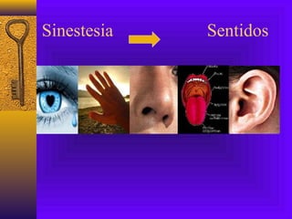 Sinestesia Sentidos
 