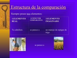 Estructura de la comparación
Siempre posee tres elementos:
1.ELEMENTO
REAL
2.CONECTOR
COMPARATIVO
3.ELEMENTO
IMAGINADO
Tu cabellera se parece a un manojo de espigas de
trigo.
se parece a
 