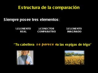 Estructura de la comparación Siempre posee tres elementos : 1.ELEMENTO  REAL 2. CONECTOR  COMPARATIVO 3.ELEMENTO IMAGINADO “ Tu cabellera  se parece a a las espigas de trigo” 