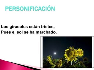 PERSONIFICACIÓN
Los girasoles están tristes,
Pues el sol se ha marchado.