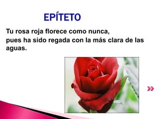 EPÍTETO
Tu rosa roja florece como nunca,
pues ha sido regada con la más clara de las
aguas.