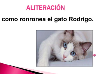 ALITERACIÓN
a como ronronea el gato Rodrigo.