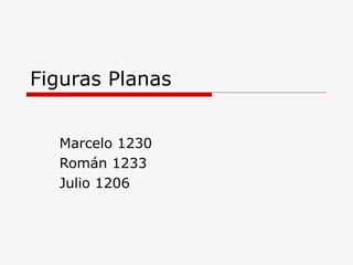 Figuras Planas Marcelo 1230 Román 1233 Julio 1206 