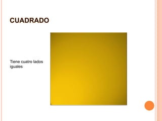 Tiene cuatro lados
iguales
