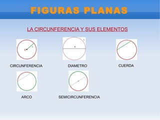 FIGURAS PLANAS LA CIRCUNFERENCIA Y SUS ELEMENTOS CIRCUNFERENCIA DIAMETRO CUERDA ARCO SEMICIRCUNFERENCIA 