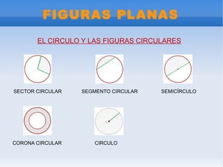 FIGURAS PLANAS EL CIRCULO Y LAS FIGURAS CIRCULARES SECTOR CIRCULAR SEGMENTO CIRCULAR SEMICÍRCULO CORONA CIRCULAR CIRCULO 