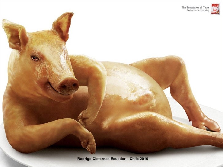Resultado de imagen para publicidad de prosopopeya