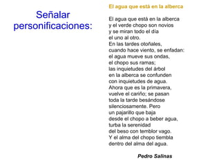 Señalar personificaciones: El agua que está en la alberca El agua que está en la alberca y el verde chopo son novios y se miran todo el día el uno al otro. En las tardes otoñales, cuando hace viento, se enfadan: el agua mueve sus ondas, el chopo sus ramas; las inquietudes del árbol en la alberca se confunden con inquietudes de agua. Ahora que es la primavera, vuelve el cariño; se pasan toda la tarde besándose silenciosamente. Pero un pajarillo que baja desde el chopo a beber agua, turba la serenidad del beso con temblor vago. Y el alma del chopo tiembla dentro del alma del agua.                      Pedro Salinas 