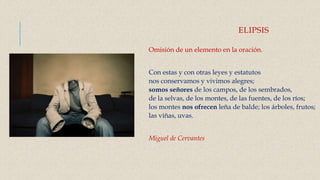 ELIPSIS
Omisión de un elemento en la oración.
Con estas y con otras leyes y estatutos
nos conservamos y vivimos alegres;
somos señores de los campos, de los sembrados,
de la selvas, de los montes, de las fuentes, de los ríos;
los montes nos ofrecen leña de balde; los árboles, frutos;
las viñas, uvas.
Miguel de Cervantes
 