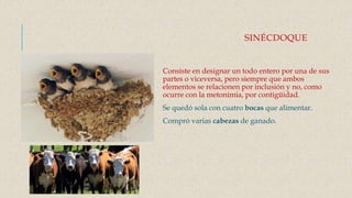 SINÉCDOQUE
Consiste en designar un todo entero por una de sus
partes o viceversa, pero siempre que ambos
elementos se relacionen por inclusión y no, como
ocurre con la metonimia, por contigüidad.
Se quedó sola con cuatro bocas que alimentar.
Compró varias cabezas de ganado.
 