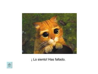 ¡ Lo siento! Has fallado. 