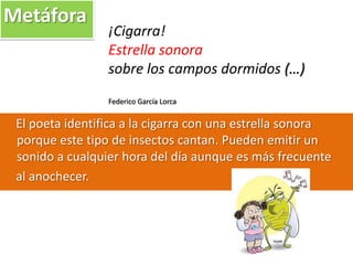 ¡Cigarra!
Estrella sonora
sobre los campos dormidos (…)
Federico García Lorca
El poeta identifica a la cigarra con una estrella sonora
porque este tipo de insectos cantan. Pueden emitir un
sonido a cualquier hora del día aunque es más frecuente
al anochecer.
Metáfora
 