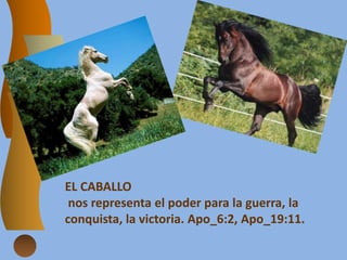 EL CABALLO
nos representa el poder para la guerra, la
conquista, la victoria. Apo_6:2, Apo_19:11.
 