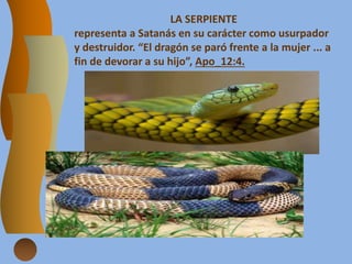 LA SERPIENTE
representa a Satanás en su carácter como usurpador
y destruidor. “El dragón se paró frente a la mujer ... a
fin de devorar a su hijo”, Apo_12:4.
 
