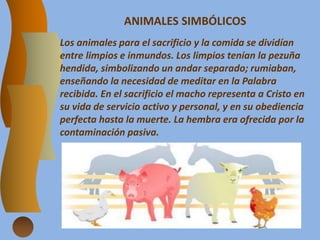 ANIMALES SIMBÓLICOS
Los animales para el sacrificio y la comida se dividían
entre limpios e inmundos. Los limpios tenían la pezuña
hendida, simbolizando un andar separado; rumiaban,
enseñando la necesidad de meditar en la Palabra
recibida. En el sacrificio el macho representa a Cristo en
su vida de servicio activo y personal, y en su obediencia
perfecta hasta la muerte. La hembra era ofrecida por la
contaminación pasiva.
 