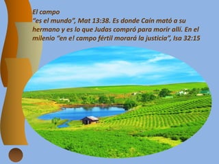 El campo
“es el mundo”, Mat 13:38. Es donde Caín mató a su
hermano y es lo que Judas compró para morir allí. En el
milenio “en e! campo fértil morará la justicia”, Isa 32:15
 