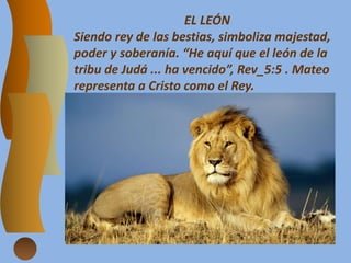EL LEÓN
Siendo rey de las bestias, simboliza majestad,
poder y soberanía. “He aquí que el león de la
tribu de Judá ... ha vencido”, Rev_5:5 . Mateo
representa a Cristo como el Rey.
 