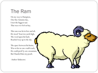 The Ram On my way to Hampton, One fine Autumn day, I met the biggest ram That was ever fed on hay. This ram was fat in fore and aft. He stood ‘bout ten yards high, The wool upon his back. Reached way up to the sky. The space between his horns, Was so far no one could reach, He could prob’ly eat a mountain, But I handed him my peach. -Author Unknown 