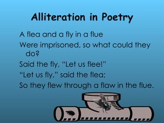 Alliteration in Poetry
A flea and a fly in a flue
Were imprisoned, so what could they
do?
Said the fly, “Let us flee!”
“Let us fly,” said the flea;
So they flew through a flaw in the flue.
 