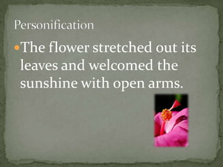 The flower stretched out its
 leaves and welcomed the
 sunshine with open arms.
 