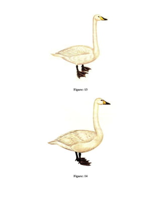 Figure: 13
Figure: 14
 