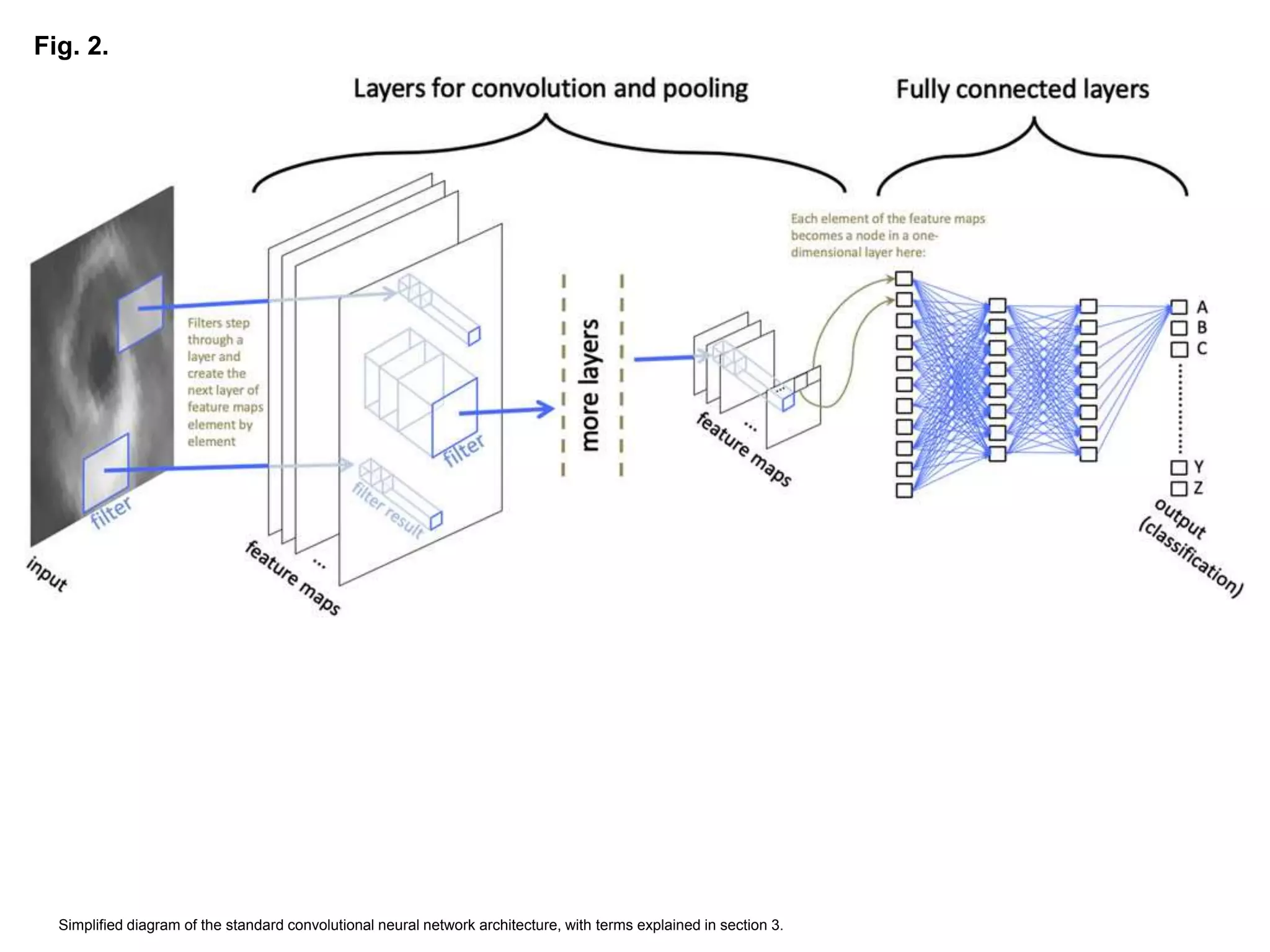 Fig. 2.
Simplified diagram of the standard convolutional neural network architecture, with terms explained in section 3.