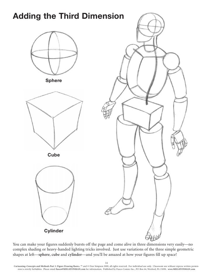 Figure Drawing Basics