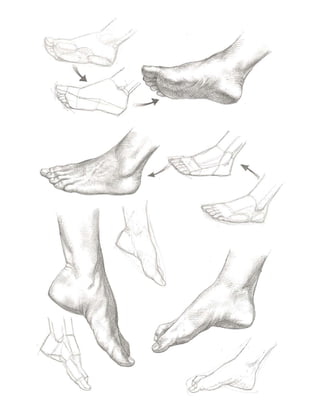 [Figure drawing] [human anatomy] (deu) la mano e il piede - giovanni ...