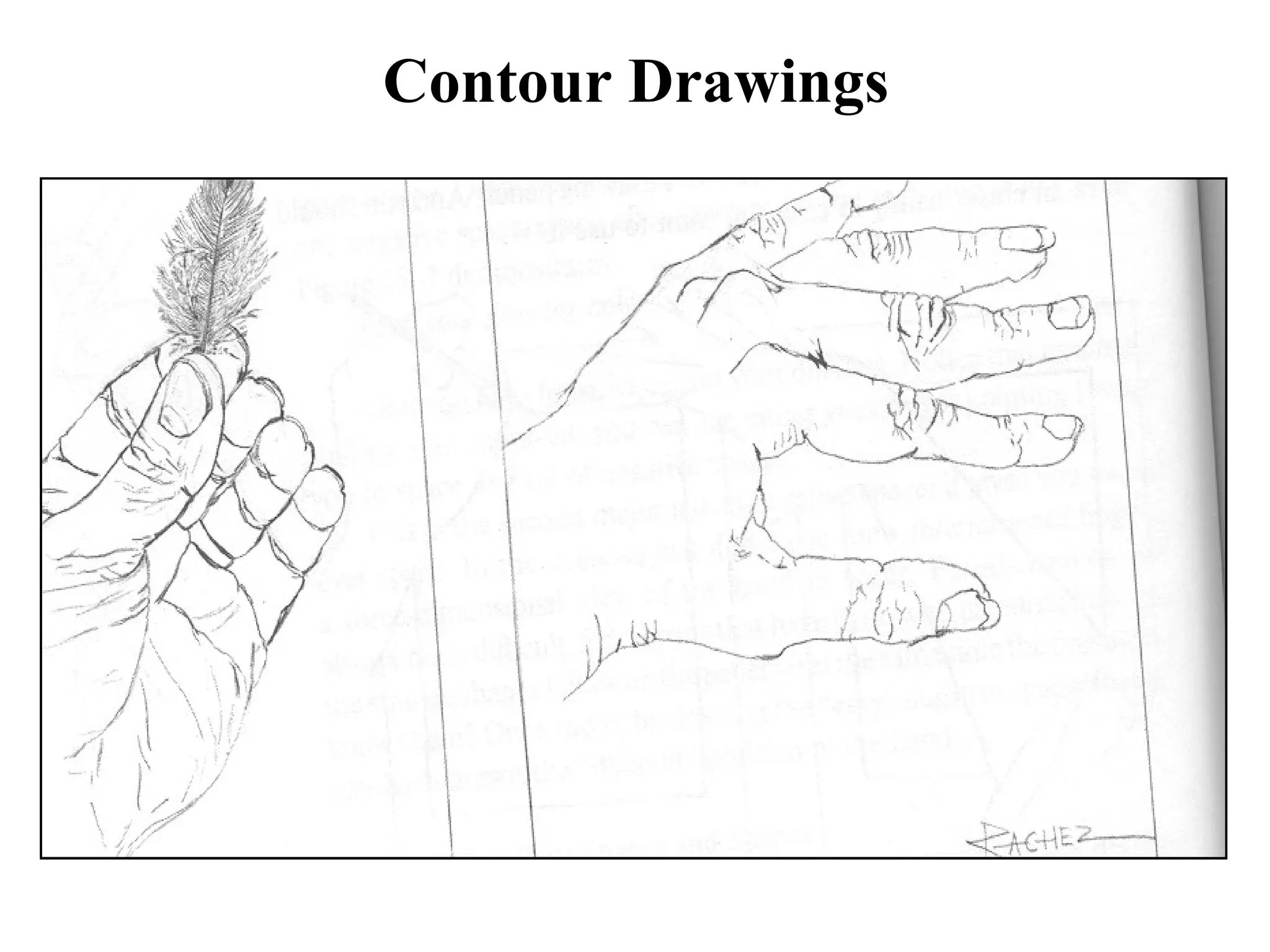 Contour Drawings

 