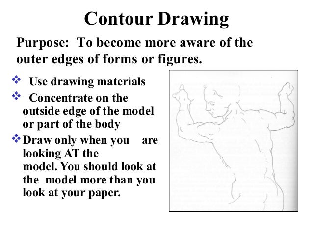 Contour Line Drawing Powerpoint : Figure drawing powerpoint