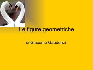 Le figure geometriche di Giacomo Gaudenzi  