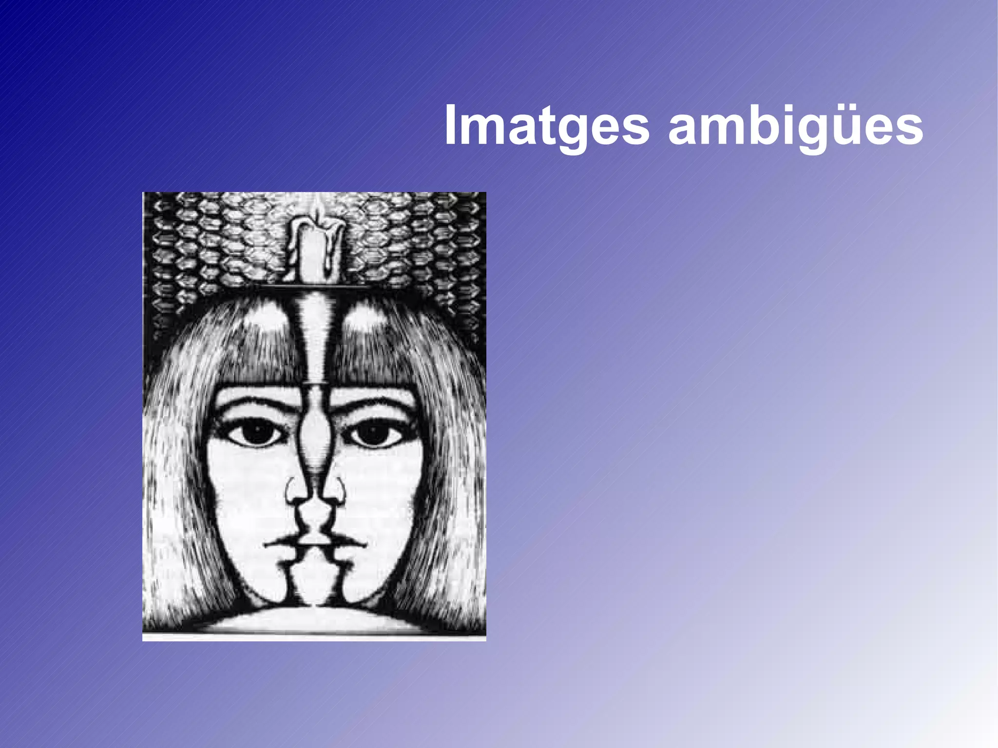 Imatges ambigües 