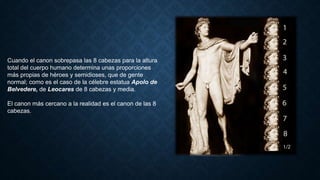 Cuando el canon sobrepasa las 8 cabezas para la altura
total del cuerpo humano determina unas proporciones
más propias de héroes y semidioses, que de gente
normal; como es el caso de la célebre estatua Apolo de
Belvedere, de Leocares de 8 cabezas y media.
El canon más cercano a la realidad es el canon de las 8
cabezas.
 